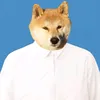 lshifar5296