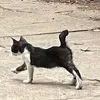 minette.star28