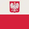 yassertek7