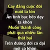 nam_dinh0