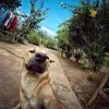 luchoailuchoa