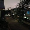 yotzungko