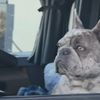 trucker222222