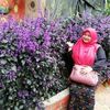 syafiahamirah