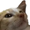 ejgrafix