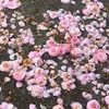 user_tiktok0705