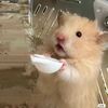 iiifluffyiii