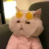 quyen_62