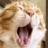 pogi._._