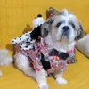 javitoloo