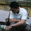 dotri01