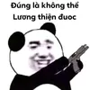 trangphuchongvan