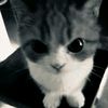 fziah_27