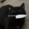 basherngmgauseless