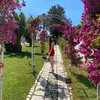 francesca.montanaroo