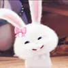 vy_chipp