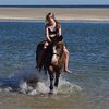 welsh_mered