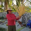 kimdinh_03