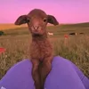 rabotazaebala0