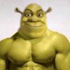 shayn.branovan123