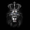 user0521942