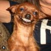 stinkeyescrappy