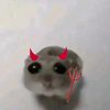 _kyotita_