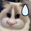 aanhlo