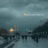 shajanhaider2