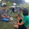 ardysuryansyah