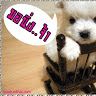 kj_nitta