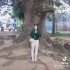 tieuthuthoi8x