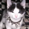 katnip_sz