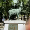 jchan1002