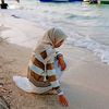 syana_sky