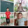 hoabapcai1421