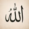 safeermohamed119
