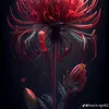 caveen41