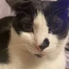 meronchan28