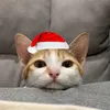 depgaiz
