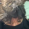 thorfinnwest