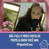 suelyascica
