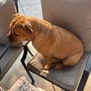 dawggrill69