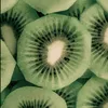 .xanqela