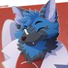 donnellthewolf