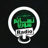 syrian.radio95.0fm
