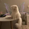 kkitttttt