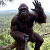 bigfootgeekedvlogs