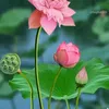 user3dwha689mayhin