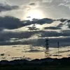 _tamm0311